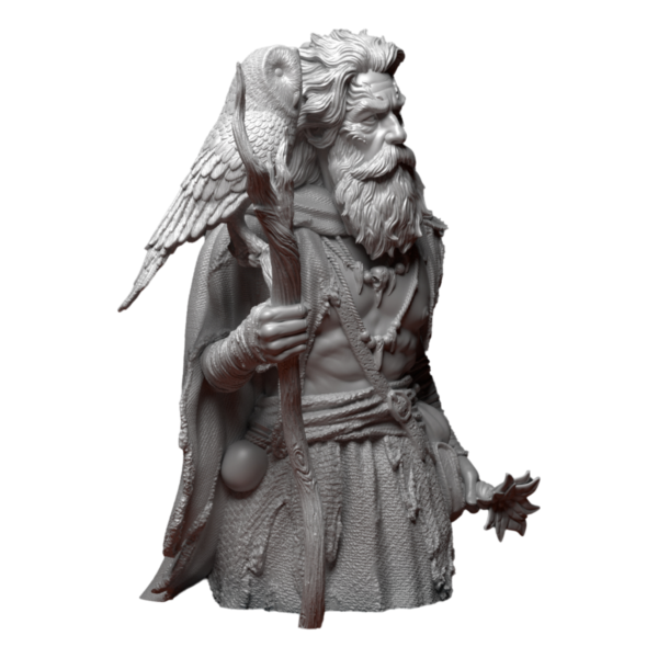druid with staff and owl